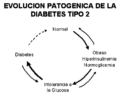 .Diabetes Mellitus Tipo 2 | Tratamiento Insulinico en la Diabetes Tipo